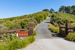 Where the Kākā call home - Image 1