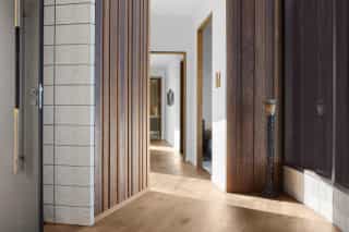 Where the Kākā call home - Image 3